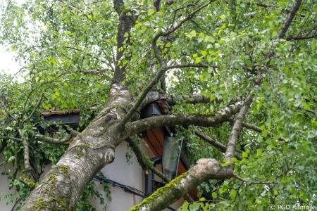 Stanje na terenu (11)